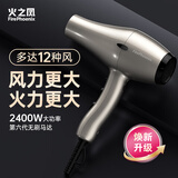 火之凤吹风机6600X 发廊专用大功率2400W大风力低噪音家用恒温护发不伤发 理发店专业电吹风筒家电 6601X钛金灰负离子2m线长 (家庭版四档风）