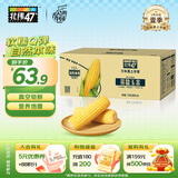 北纬47°黄糯玉米4斤(200g*10根)东北甜黏鲜玉米棒真空包装  早餐苞米