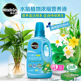 美乐棵植物营养液磷酸二氢钾花肥兰花月季水培花卉绿植发财树营养液肥料 水培型500ml