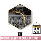 守灯人餐厅装饰画 饭厅挂画餐厅墙面装饰创意六边形客厅挂画北欧黑白酒吧墙上摄影墙画 16（单幅价格）  单幅小尺寸宽35*高40单边20铝合金黑框+玻璃
