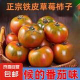 铁皮柿子草莓西红柿绿腚柿子现摘现发 小果40g起 畅销款 4斤 带箱