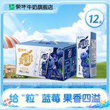 蒙牛 真果粒牛奶饮品礼盒装 Q弹果粒 【送女友推荐】 【蓝莓果粒】250g*12盒