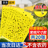 力仕康粘虫板黄板诱虫板20张苍蝇贴灭蚊小飞虫诱捕神器果蝇飞蛾大棚家用
