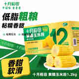 十月稻田 黄糯玉米段1.2kg 东北苞米 低脂粗粮 开袋免切