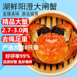 【活蟹】湖鲜阳澄 大闸蟹 去绳足重 2.7-3.0两 8只 鲜活六月黄现货超大螃蟹生鲜礼盒装