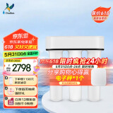 道尔顿（Doulton）净水器家用直饮 厨房自来水龙头过滤器矽藻陶瓷饮水机超滤净水机无废水厨下式 D-IP301
