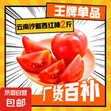 正宗云南沙瓤西红柿番茄可生吃新鲜现摘新鲜蔬菜减肥 精品小果(单果60g+) 2斤 带箱