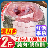 柒岛鳄鱼肉鳄鱼尾鳄鱼腿肉鳄鱼腩肉鳄掌肉带皮鳄鱼生鲜肉食材净重 2斤【顶配】鳄鱼肉