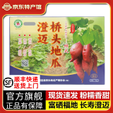有鲜气海南澄迈特产 正宗海南澄迈桥头富硒地瓜 红薯 粉糯香甜好吃 正版中果9斤单果2-4两 （净重）