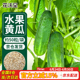 花沃里 水果黄瓜种子 蔬菜种子爬藤小黄瓜阳台盆栽/庭院田间种植约50粒