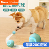华元宠具（hoopet）狗狗玩具球耐咬自嗨解闷自动逗狗神器宠物电动小狗智能弹力遛狗球 自动逗狗球 蓝色