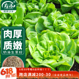 寿禾 奶油生菜种子种苗春季四季蔬菜种籽 潍育青美玉奶油生菜种子10g