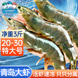 三只海豚 国产青岛大虾 特大号白虾 20/30规格 净重3斤盒装 活虾速冻虾类