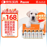 普安特IGY抗特力适用于犬瘟细小猫瘟鼻支疱疹病毒阶段免疫调理阶段