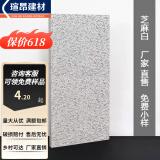 生态地铺石庭院广场石英砖广东户外车库高温烧制防滑抗压地板砖 芝麻白 300x600（厚度1.0）