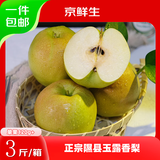京鲜生 山西玉露香梨 净重3斤 单果120g+ 生鲜水果 源头直发包邮