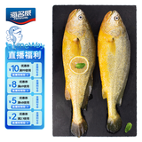 海名威 冷冻黄花鱼700g/2条 宁德大黄鱼地标 海鲜水产 生鲜鱼类 