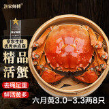 【活蟹】漁家师傅大闸蟹3.0-3.3两8只去绳足重鲜活螃蟹六月黄现货生鲜水产礼盒源头直发