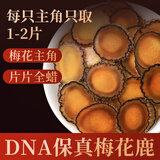 半山农 鹿茸 梅花鹿鹿茸片全蜡片5克 男性泡酒药材 送长辈父亲节礼物
