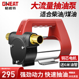 格威特电动抽油泵12V24V直流220V交流加油泵工业柴油输油泵加油机 升级款12V（正反转）油泵