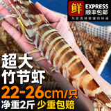 蝶岛船说 鲜活速冻大斑节虾 海捕大虾九节虾 特大竹节虾明虾 年货海鲜 1kg(净重)  【斑节虾王】10-12只 