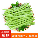 农家四季豆新鲜现摘云南长扁豆角农家应当季蔬菜芸豆现摘菜豆 新鲜四季豆3斤带箱