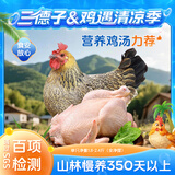 三德子好甄选壮年老母鸡 净重1.8-2.4斤 山地散养350天走地鸡肉生鲜月子鸡汤