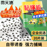 雷灭速苍蝇贴粘灭苍蝇神器灭蝇器粘蚊子苍蝇纸果蝇小飞虫捕蝇神器20张