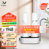 道尔顿（Doulton）净水器家用直饮 厨房自来水龙头过滤器矽藻陶瓷净水机无废水可清洗超滤饮水机 D-CP203