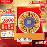 紫蓝花海 冬虫夏草2根/g 20g 40根新干虫草甄选品质滋补品【健康礼盒】