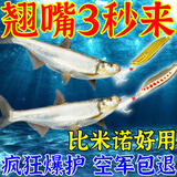 鱼诱翘嘴亮片路亚饵假饵野钓翘嘴白条微物远投水蛭亮片钓鱼神器黑科技 金色 一个【3g】