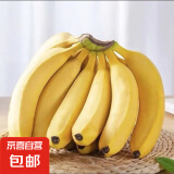 甜糯香蕉单根蕉把蕉随机发 6号色食用最佳 青香蕉发货放苹果催熟 2斤带箱 广西单根蕉 甜糯香蕉 香甜软糯