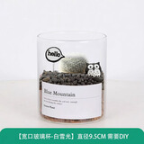 绿荫巷子多肉植物类绿植盆栽肉肉办公室内仙人掌球桌面带盆好养活小盆景 【白雪光】高透玻璃杯土砂+hello猫头鹰