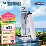 道尔顿（Doulton）净水器滤芯英国原装进口天然矽藻瓷滤芯 M10 BSPUCC同港版9504道尔顿专用滤芯