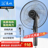 长城（CHANGCHENG）电风扇落地扇18吋五叶风扇摇头商务电扇居家办公立式风扇大功率大风量工业扇交流定频风扇FS-45