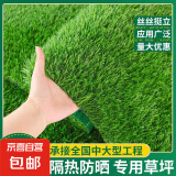 LZJGRASS屋顶防晒隔热仿真草坪玻璃庭院阳台绿地毯天台露台阳光房 2cm春草绿底加密【0.5*0.5米长】