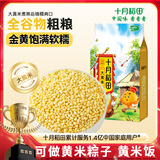 十月稻田 大黄米 2斤（黍米 黄黏米 粽子米 粗粮杂粮 大米伴侣 端午食材）
