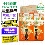 十月稻田 当季新米 长粒王香米 5kg*2 箱装 10kg 东北大米 20斤
