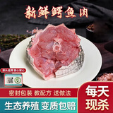 柒岛鳄鱼肉鳄鱼尾鳄鱼腿肉鳄鱼腩肉鳄掌肉带皮鳄鱼生鲜肉食材净重 腿肉+尾巴肉+腩肉 各2斤