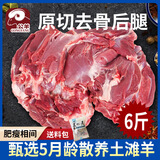 公羊去骨羊后腿肉生羊腿肉新鲜现杀整只鲜羊肉羔羊肉 6斤去骨后腿纯肉