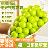 京地达葡萄阳光玫瑰晴王香印青提水果送礼净重2.8斤单果均12g+源头直发