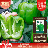 北蔬 甜椒种子种苗不辣青椒灯笼椒盆栽四季蔬菜种籽 绿甜椒种子20粒