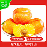 京觅山东蒙阴黄金油蟠桃净重4斤约120g精选15-18枚 黄桃桃子 源头直发