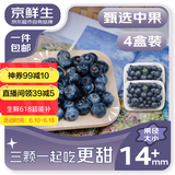 京鲜生 国产蓝莓 4盒 14mm+装125g/盒 生鲜水果 源头直发 包邮