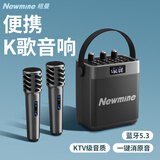 纽曼（Newmine）K519蓝牙音响家用k歌音箱大功率音乐播放器hifi高音质无线户外手提便携式实用礼物超长续航 双麦