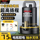 德力西直流潜水泵12V24V48V60V72V家用电瓶车抽水泵小型电动抽水泵 48/60V-1寸11米线-16米水管