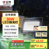 公牛（BULL）LED投光灯户外庭院工厂园林灯露营灯 IP65防水等级30W-6500K白光