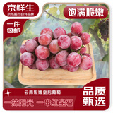 京鲜生 云南妮娜皇后葡萄净重450-550g 单果8g+ 生鲜水果源头直发