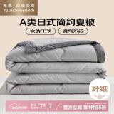 雅鹿·自由自在被子空调被夏凉被双人A类抗菌纤维夏季薄被200*230cm 浅灰