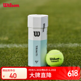 Wilson威尔胜全场地用球美网澳网专业训练网球 3粒装（球面数字随机）